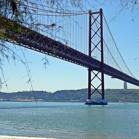 Go Native - Center ליסבון